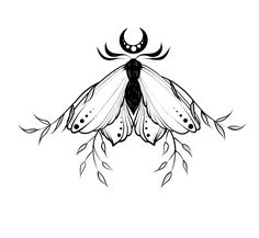 a black and white drawing of a moth with wings on it's back legs