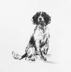 a black and white drawing of a dog sitting next to a cat on the ground