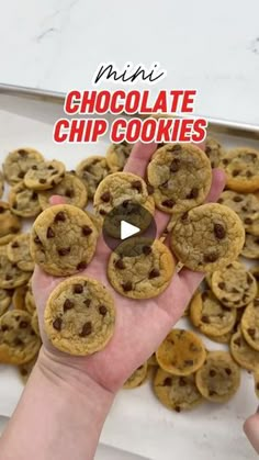 mini chocolate chip cookies are being held by someone's hand