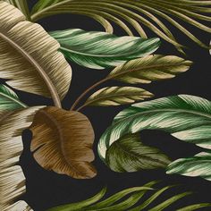 a black background with green and white leaves on the bottom right corner is an illustration of a banana plant