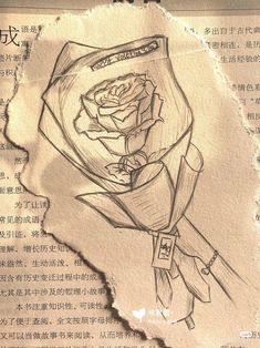 an old piece of paper with a drawing of a rose on it and chinese writing