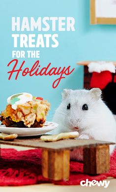 a hamster sitting in front of a table with food on it and the caption hamster treats for the holidays