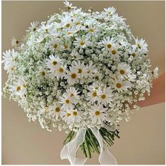 a bouquet of white daisies and baby's breath