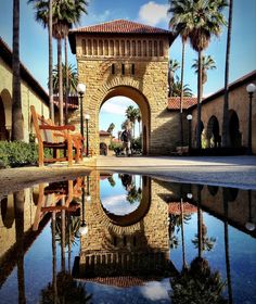 the reflection of palm trees and a bench is shown in this pool with its reflection