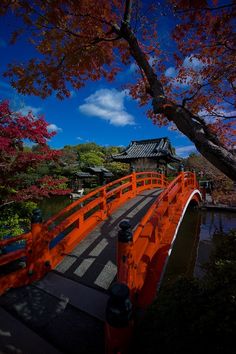 an orange bridge over water with trees in the background