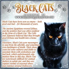 A beautiful black cat with orange eyes sits on the right side of the image. The cat is facing the camera, but the shot was taken from above and the cat is looking at something below the camera. The text details some of the lore around black cats and their symbolism. Presented by Inked Goddess Creations. Crow Facts, National Black Cat Day, Black Cat Appreciation Day