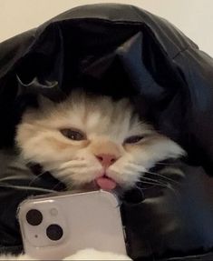 a cat sticking its head out from inside a black bag with a cell phone in it's mouth