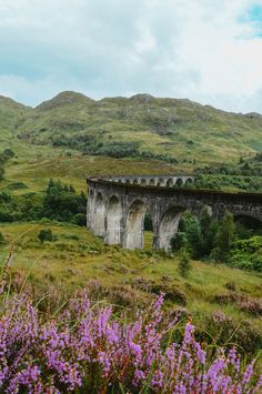 One of the most stunning places to visit in the Scottish Highlands is the Glenfinnan Viaduct. What makes it more mesmerizing is seeing the Jacobite Steam train pass over the viaduct, also known as the Harry Potter bridge. This travel guide will explain everything you need to know to plan your trip to Glenfinnan - what time the steam train passes and how to find the best viewpoint. Harry Potter Viaduct, Jacobite Steam Train, Harry Potter Train, Glenfinnan Viaduct, Train Times, Steam Train, Steam Trains, Uk Travel