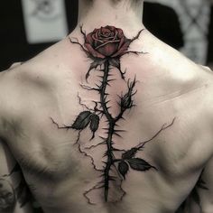 Dark Rose Tattoo Design, Perc 30 Tattoo, Rose Vines Tattoo, Black Leaves Tattoo, Rose And Thorns Tattoo, Over The Shoulder Tattoo, Back Rose Tattoo, Dark Romance Tattoo