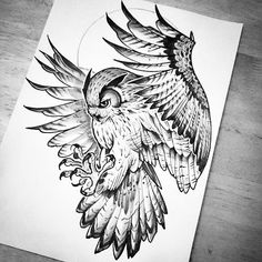 a drawing of an owl with wings spread out