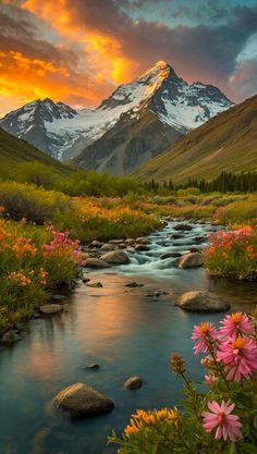 the mountains are covered in snow and flowers as the sun sets over a mountain stream