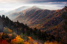 the mountains are covered in autumn foliage and trees with orange, yellow, and green leaves