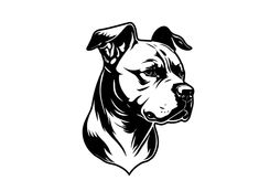 a dog's head in black and white with the word pitbull on it