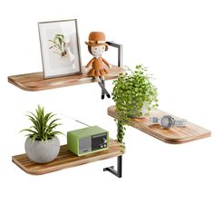 two wooden shelves with plants and pictures on them