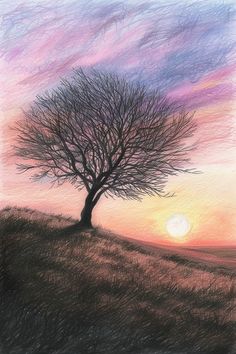 a drawing of a tree on a hill at sunset