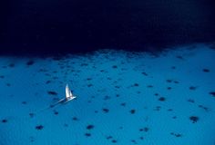 an aerial view of a plane flying over blue water with black dots on the ground