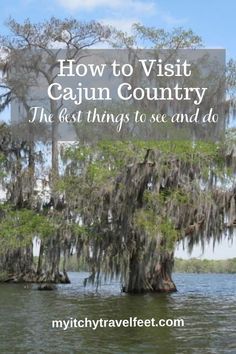 trees with moss growing on them in the water and text overlay reads how to visit cajun country the best things to see and do