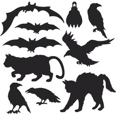 the silhouettes of various animals and birds are shown in black on a white background