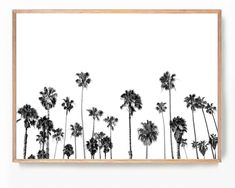 black and white photograph of palm trees against a white background in a wooden frame on the wall