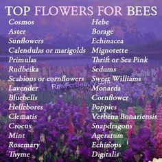 the top flowers for bees are in bloom and there are many different varieties to choose from