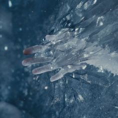 an image of snow and ice on the ground with one hand in the air above it