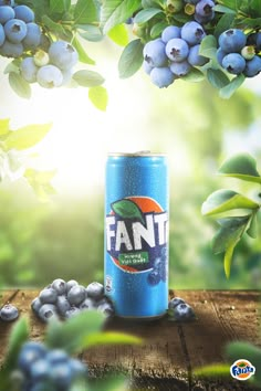 a can of fant blueberries sitting on top of a wooden table next to berries