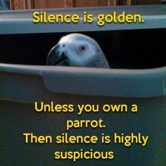 an image of a bird in a bin with the caption saying,'silence is golden unless you own a parrot then science is highly suspicious