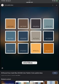the color palettes on this website are all different colors and sizes, but there is no image to describe