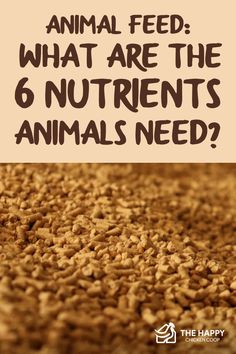 an animal feed with the words what are the 6 nutrits animals need?