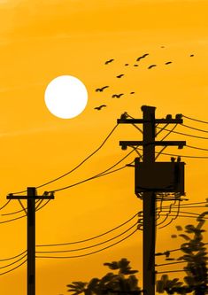 the sun is setting behind power lines and birds are flying in the sky above them