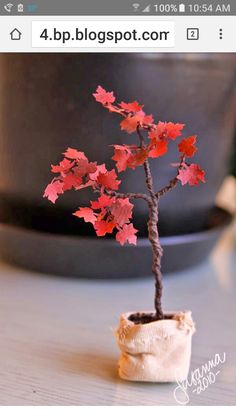 a small bonsai tree with red leaves in a potted planter on a table