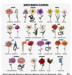 the birth month flowers are shown in this poster