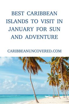 palm trees on the beach with text overlay reading best caribbean islands to visit in january for sun and adventure