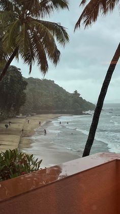 a beach with palm trees and people in the water on it's shore line