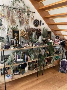 a room filled with lots of plants and pictures on the wall next to a stair case