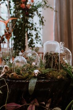 a table topped with lots of glass domes filled with plants and greenery next to wine glasses