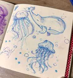 an open notebook with drawings of jellyfish and dolphins