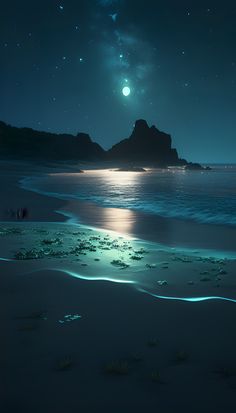 the night sky is full of stars, and there are no people on the beach