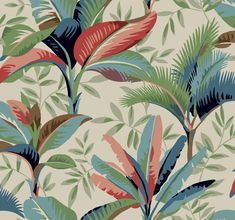 Summerhouse Savanna Wallpaper from the Greenhouse Collection by York Wallcoverings Blue Tropical Wallpaper, Vacation Lifestyle, Peacock Wallpaper, Tropical Palm Trees, Palm Branch, Tropical Living, York Wallpaper, Drops Patterns, Tropical Wallpaper