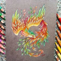 colored pencils and crayons next to a drawing of a bird