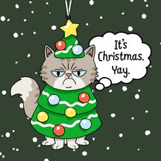 a cat wearing a christmas tree costume with a thought bubble saying it's christmas day