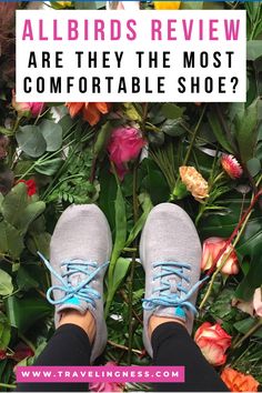 A pair of gray Allbirds shoes with blue laces against a bed of colorful flowers. Top Summer Outfits, Wool Runners, Travel Gear, Shoe Style, Stay Fit