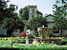 an orange tree in front of a white house with yellow flowers and trees around it