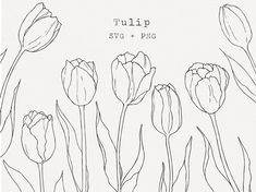 tulips and other flowers are drawn in black ink on a white background with the words tulip svg + png