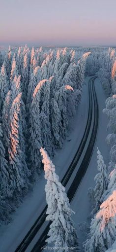 an aerial view of snow covered pine trees and road in the foreground, at sunset