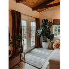 a living room filled with furniture and a potted plant on top of a rug