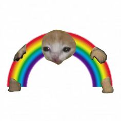 a small animal that is standing in front of a rainbow arch with its hands on it's hips