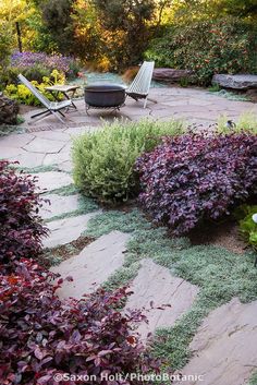 a stone patio surrounded by purple flowers and greenery in the foreground is a fire pit