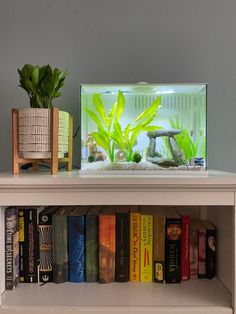 a fish tank sitting on top of a book shelf next to a potted plant