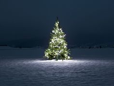 a lit up christmas tree in the middle of a snow covered field with dark skies